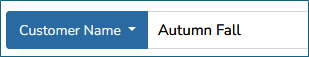 Transaction Search by Customer Name