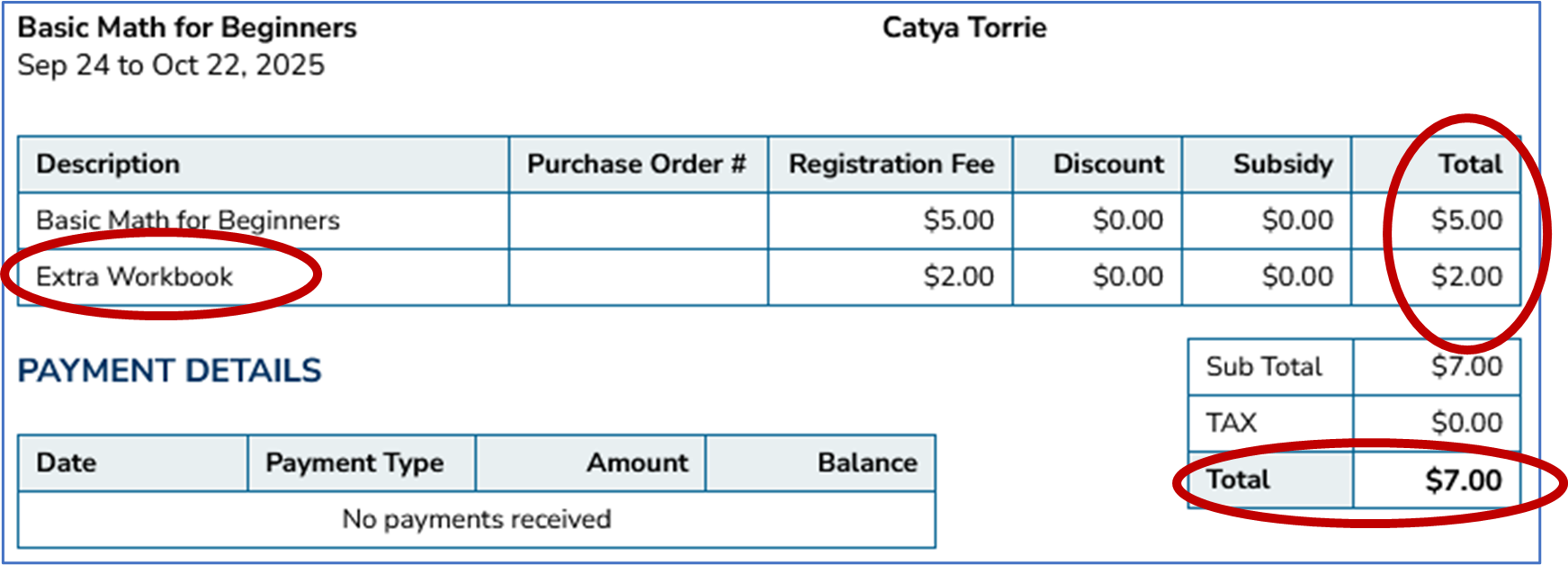 Updated Invoice - Line Items